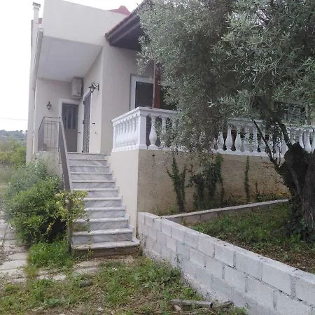 Villas Center Villa *